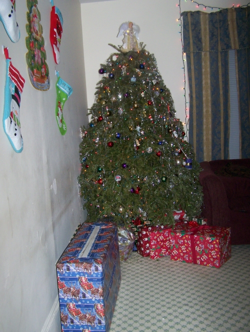Christmas 2010 (2)