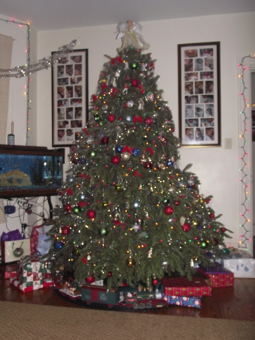 Christmas Tree 2012 (2)