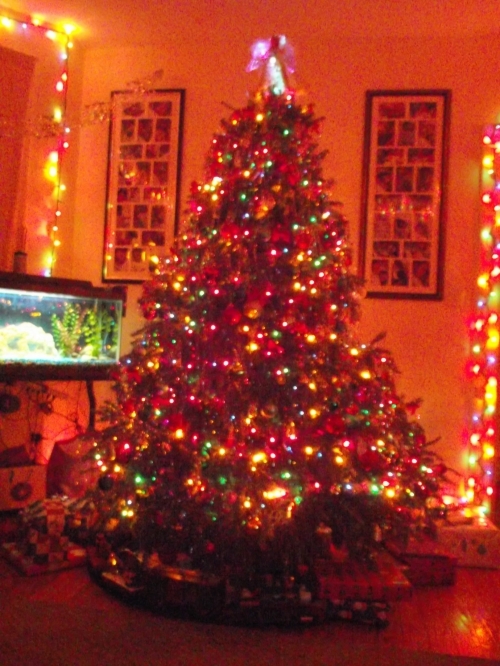 Christmas Tree 2012 (3)