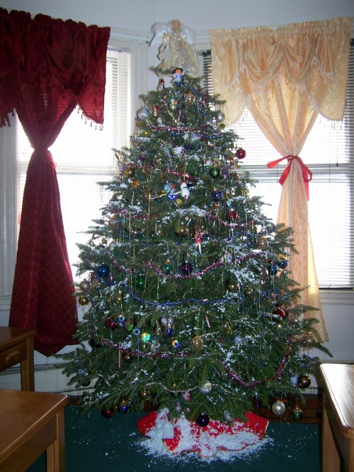 Christmas tree 2007 (2)