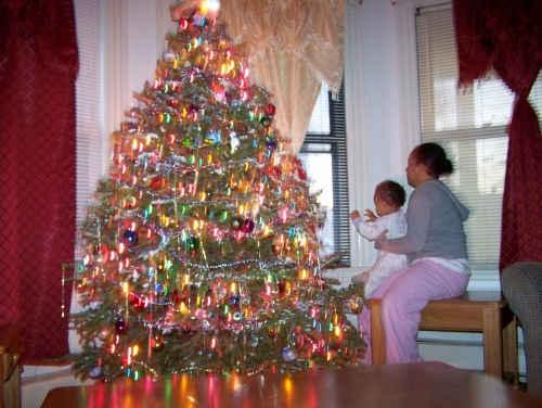 Christmas tree 2007