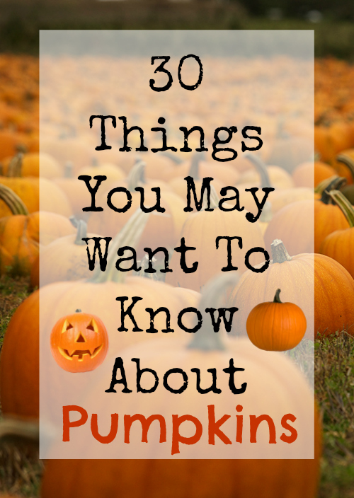 Pumpkins- 30 Things