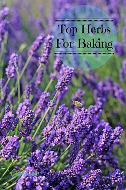lavender-top-herbs-to-bake-with-1