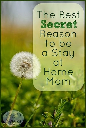 stay at home mom 2wm